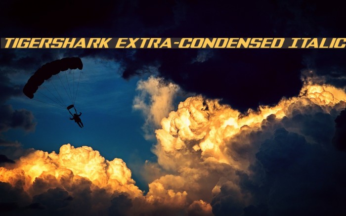 Tigershark Extra-Condensed Italic Font examples