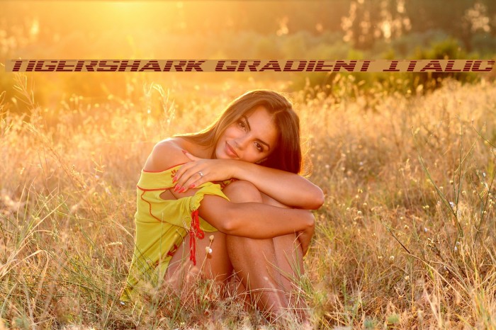 Tigershark Gradient Italic Example 2