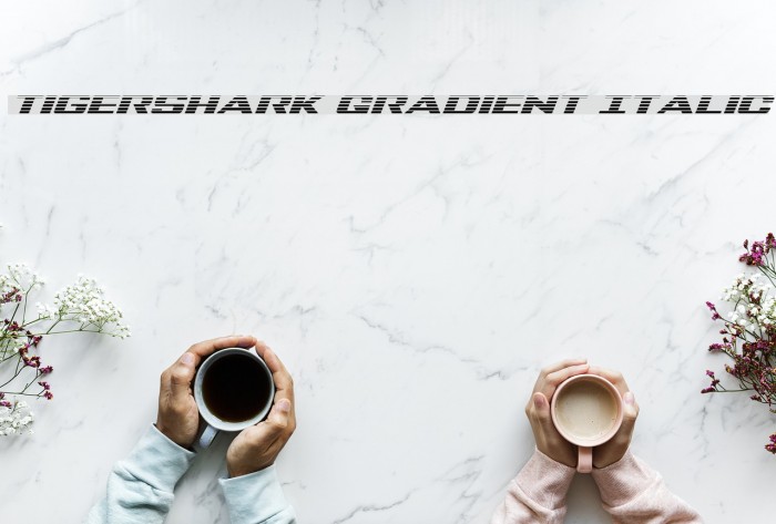 Tigershark Gradient Italic Example 3