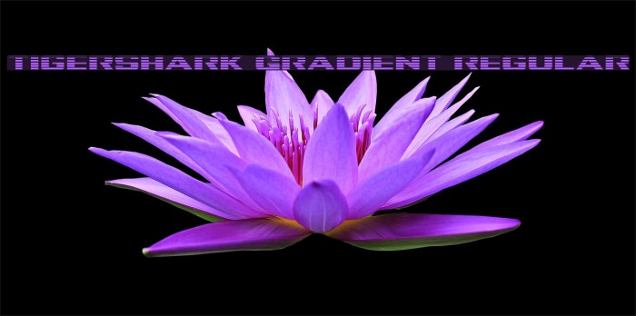 Tigershark Gradient Regular Font examples