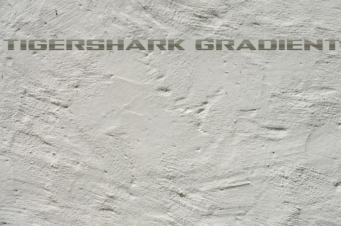 Tigershark Gradient Font examples