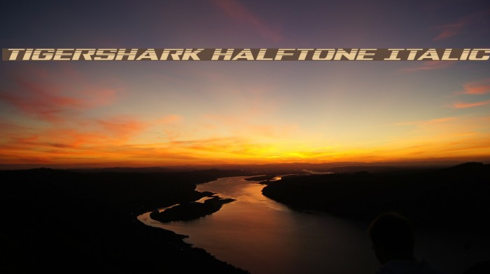 Tigershark Halftone Italic Font examples