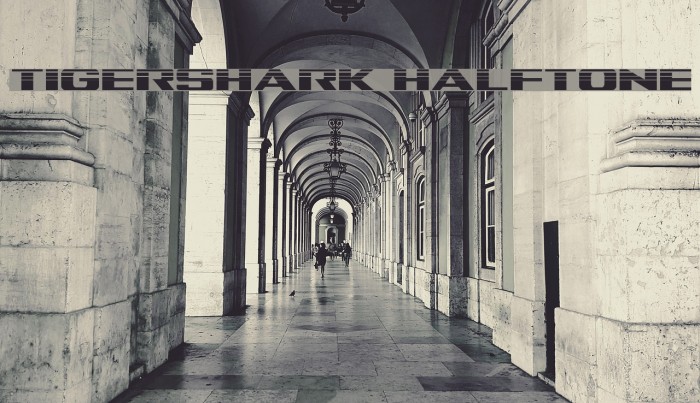 Tigershark Halftone Example 2