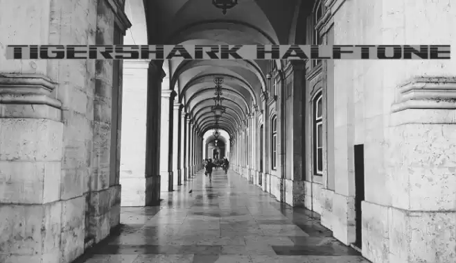 Tigershark Halftone Font examples