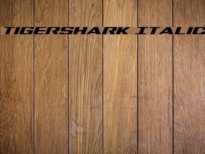 Tigershark Italic Example 1