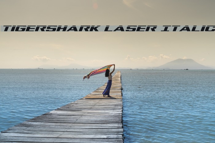 Tigershark Laser Italic Example 1