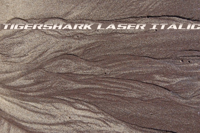 Tigershark Laser Italic Example 2
