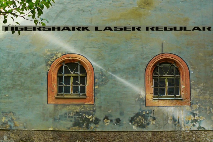 Tigershark Laser Regular Font examples
