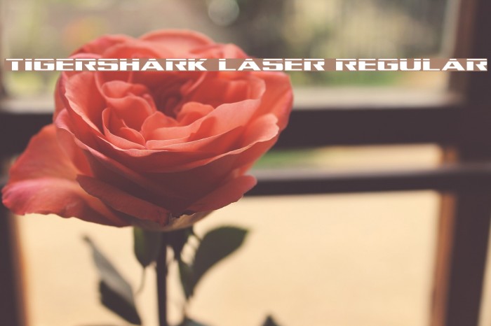 Tigershark Laser Regular Font examples