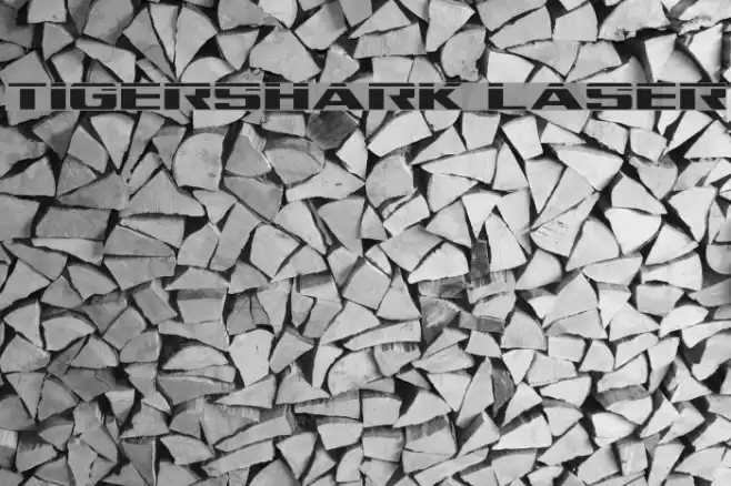 Tigershark Laser Font examples