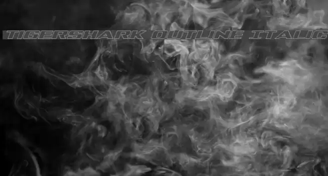 Tigershark Outline Italic Font examples