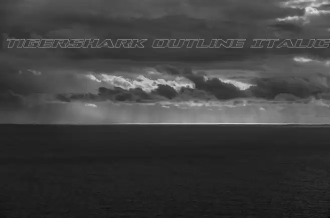 Tigershark Outline Italic Font examples