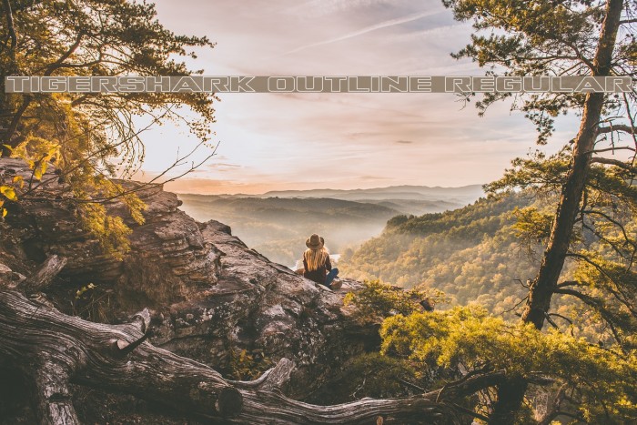 Tigershark Outline Regular Example 1