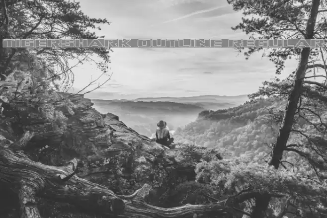 Tigershark Outline Regular Font examples