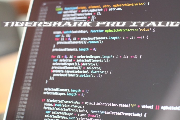 Tigershark Pro Italic Example 1