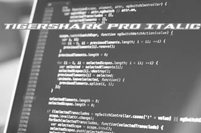 Tigershark Pro Italic Font examples