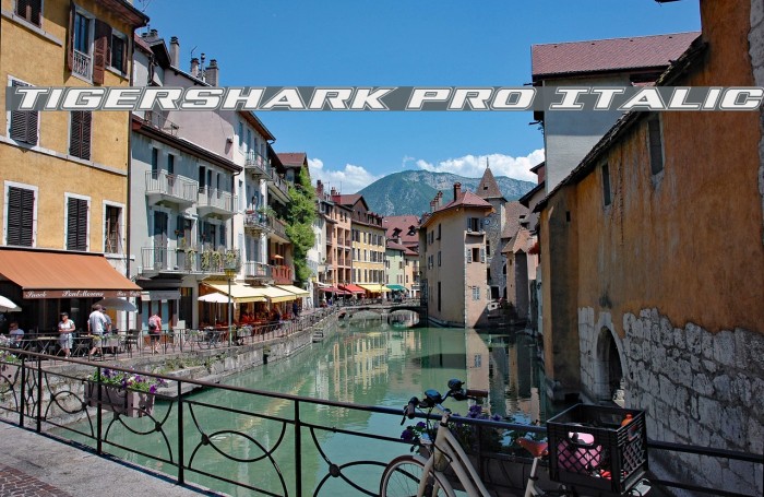 Tigershark Pro Italic Example 3