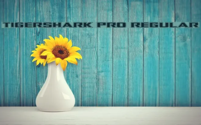 Tigershark Pro Regular Example 3