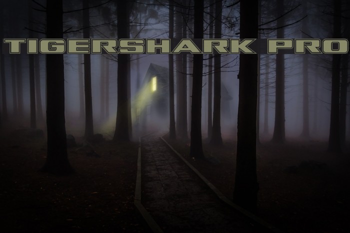 Tigershark Pro Font examples