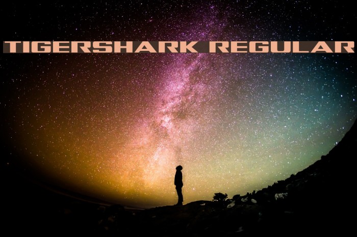 Tigershark Regular Font examples
