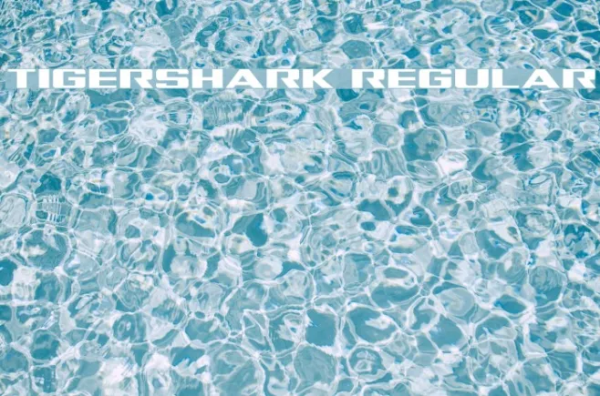 Tigershark Regular Example 3