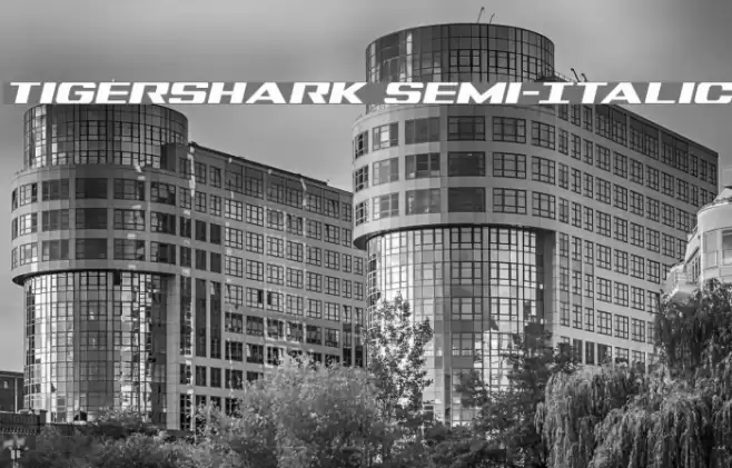 Tigershark Semi-Italic Font examples