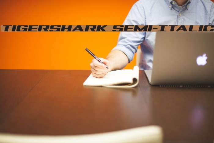 Tigershark Semi-Italic Font examples
