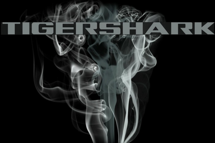 Tigershark Font examples