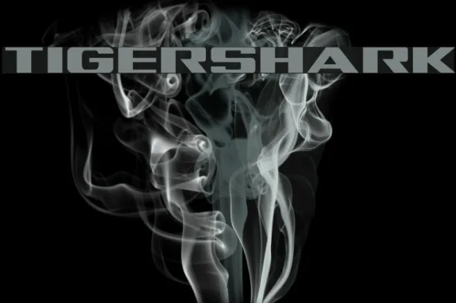 Tigershark Example 2