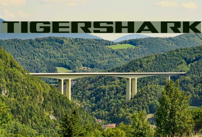 Tigershark Font examples