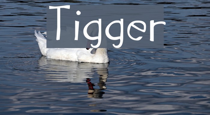 Tigger Font examples