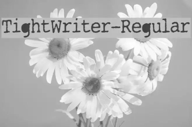 TightWriter-Regular フォント examples