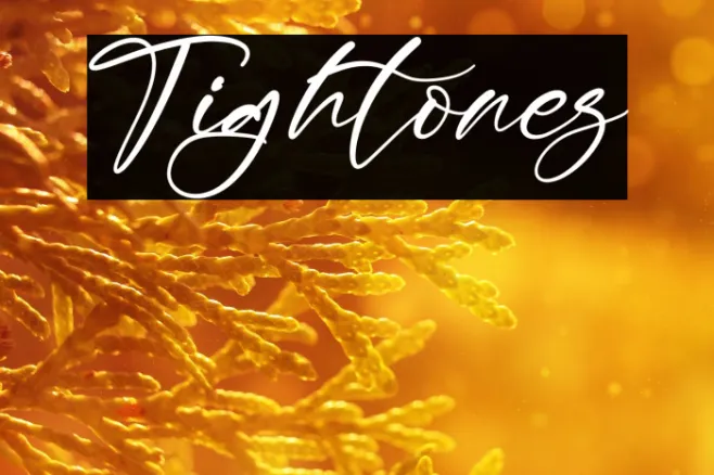 Tightones Example 1