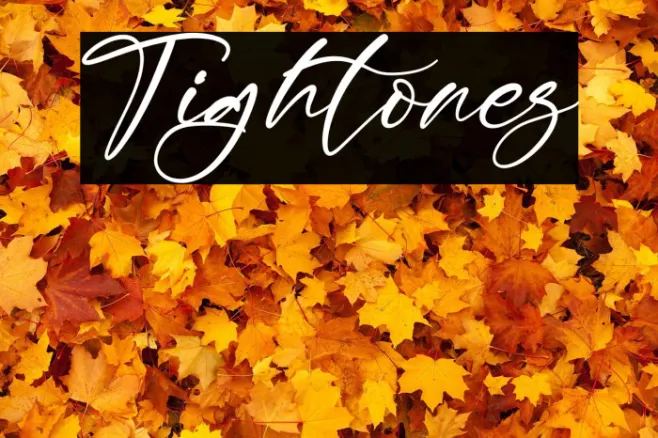 Tightones Example 2