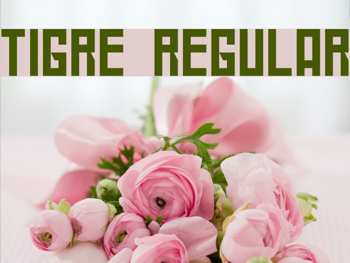 Tigre Regular Font examples