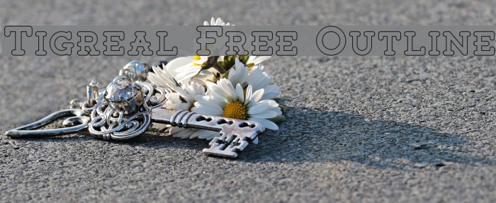 Tigreal Free Outline Font examples
