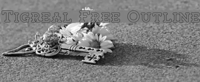 Tigreal Free Outline Font examples