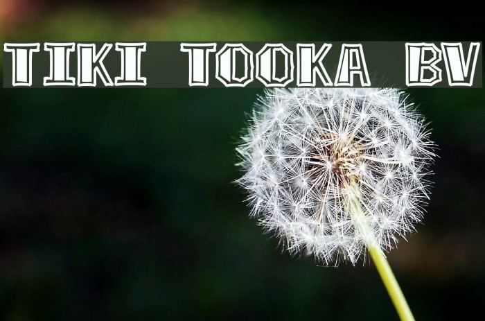 Tiki Tooka BV Font examples