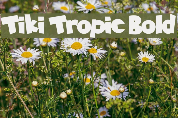 Tiki Tropic Bold Font examples
