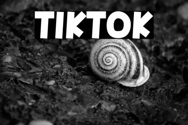 Tiktok Font examples