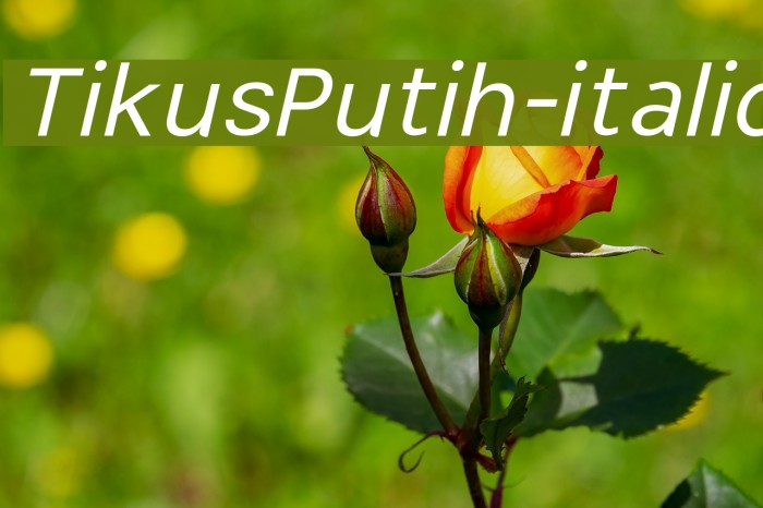 TikusPutih-italic Font examples