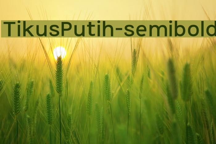 TikusPutih-semibold Font examples