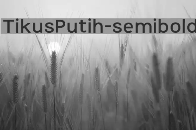 TikusPutih-semibold Font examples
