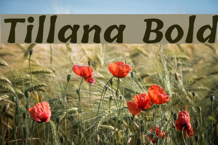 Tillana Bold Font examples
