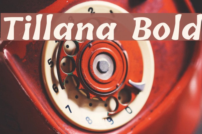 Tillana Bold Font examples