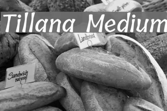 Tillana Medium Font examples