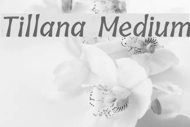 Tillana Medium Font examples