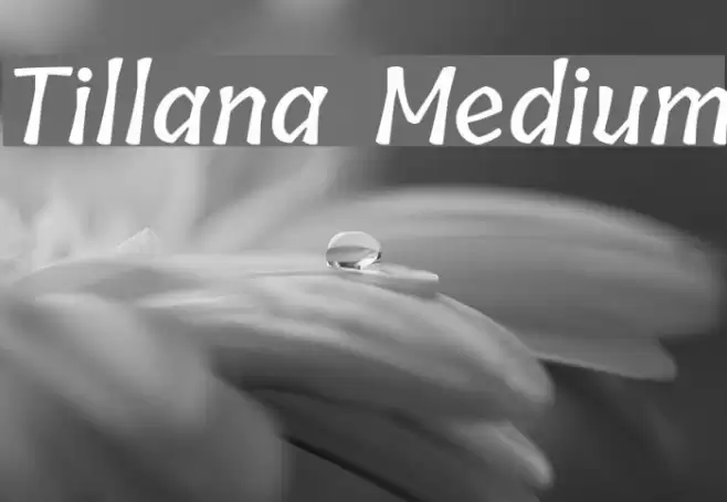 Tillana Medium Font examples