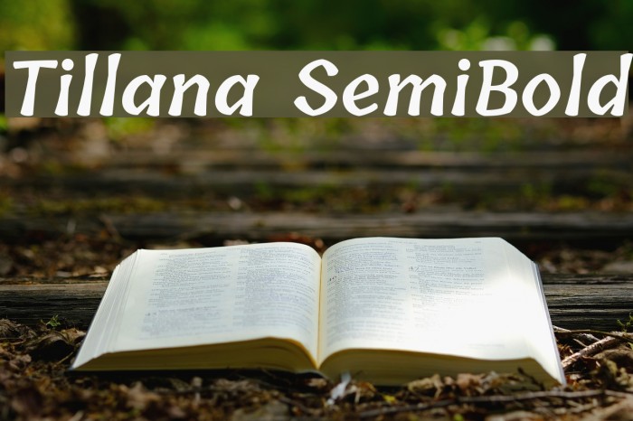 Tillana SemiBold Font examples