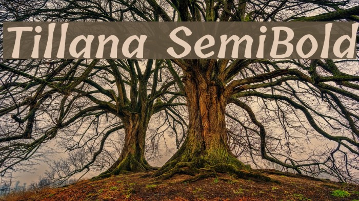 Tillana SemiBold Font examples
